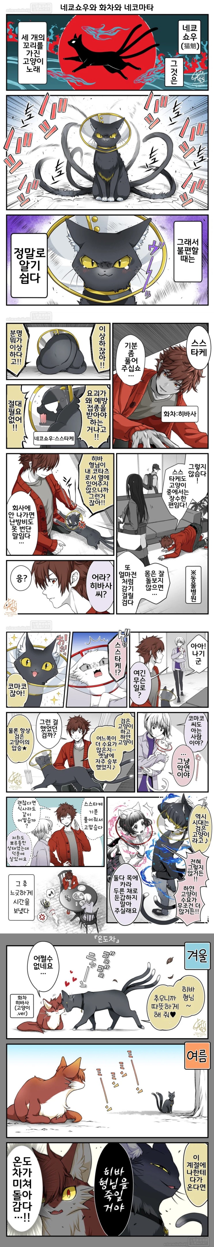  동물병원의 고양이 요괴들.manhwa