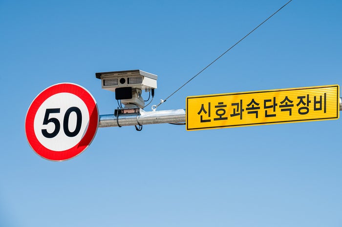 고향생고기 사진 6