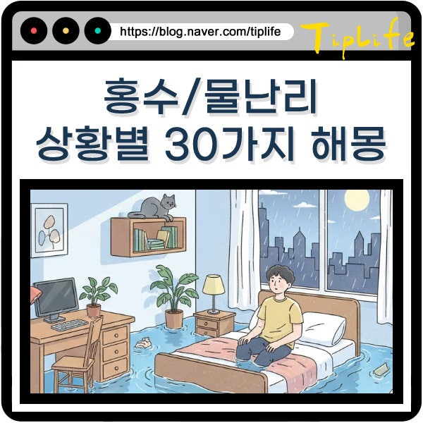 홍수 물난리 나는꿈 해몽 집 도로 차 침수 등 상황별 풀이