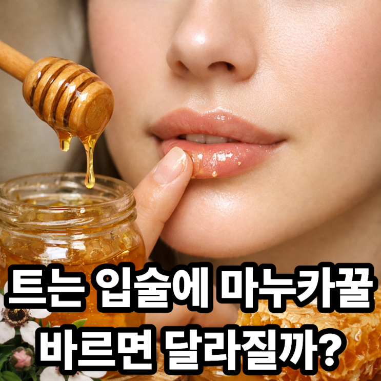  마누카꿀 입술 보습 효과｜트는 입술에 좋은 이유와 활용법