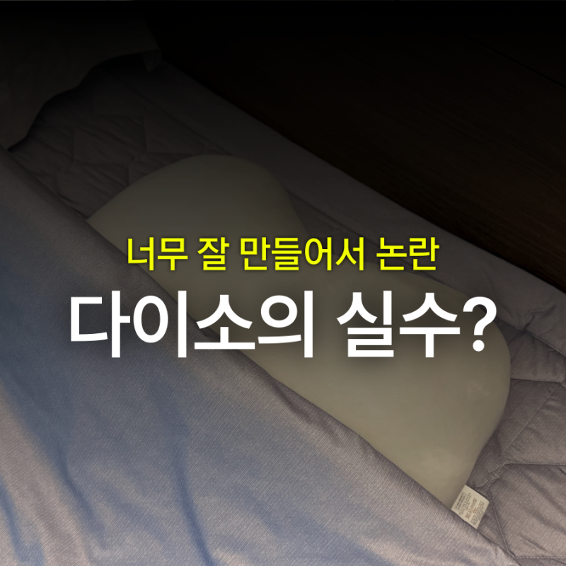 다이소가 실수로 너무 잘 만든 제품 甲