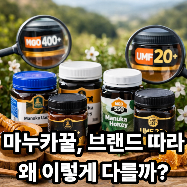  마누카꿀 브랜드별 차이점 총정리｜UMF·MGO 기준으로 똑똑하게 고르는 법