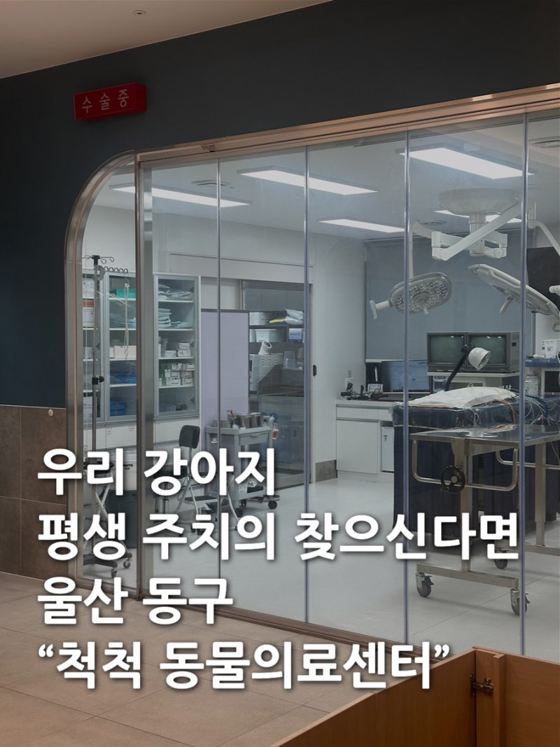 울산 동구 동물병원 | 평생 주치의 만나고 싶다면 “척척동물의료센터”