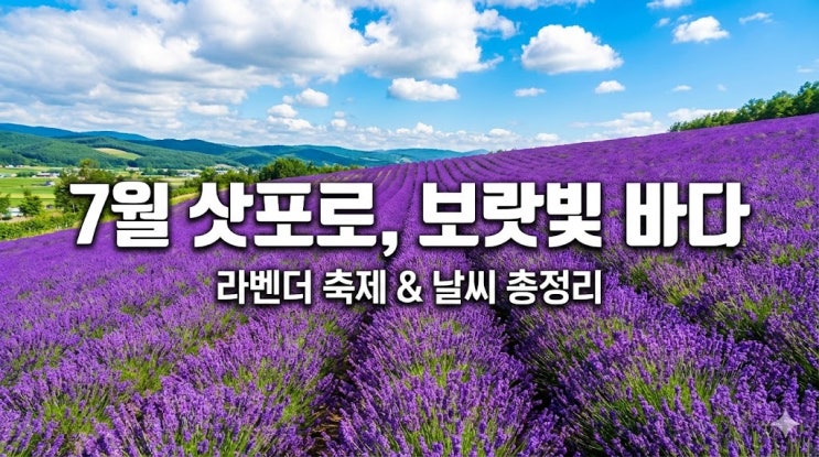 2026 일본 삿포로 라벤더 축제 시기 및 북해도 여름 여행 날씨 옷차림 총정리