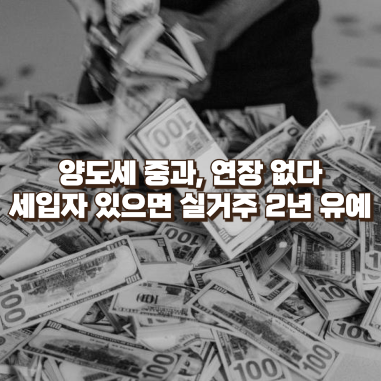  양도세 중과, 더 이상 연장 없다 : 세입자 있으면 실거주 2년 유예…부동산 세제의 방향이 바뀐다