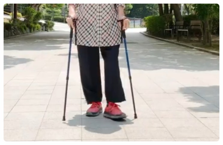  지팡이랑 양손 워킹스틱 차이 가볍고 사용하기  편한 어르신 부모님 보행 보조도구 추천