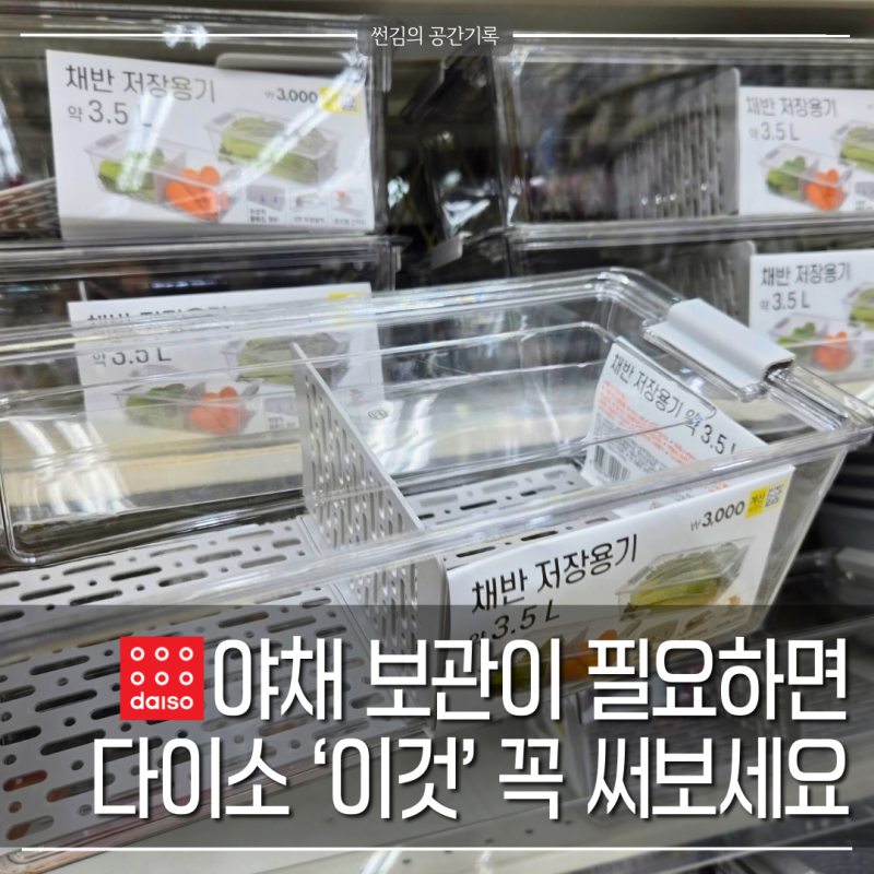 다이소 야채보관 신선도 2배 오래가는 주방꿀템 '이것', 디자인까지 깔끔한데 3천원 이하