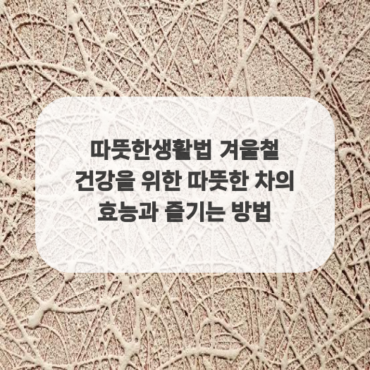  따뜻한생활법 겨울철 건강을 위한 따뜻한 차의 효능과 즐기는 방법