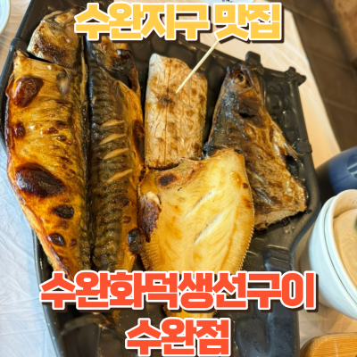 수완지구맛집 550화덕에 직화하여 나오는 수완화덕생선구이 수완점