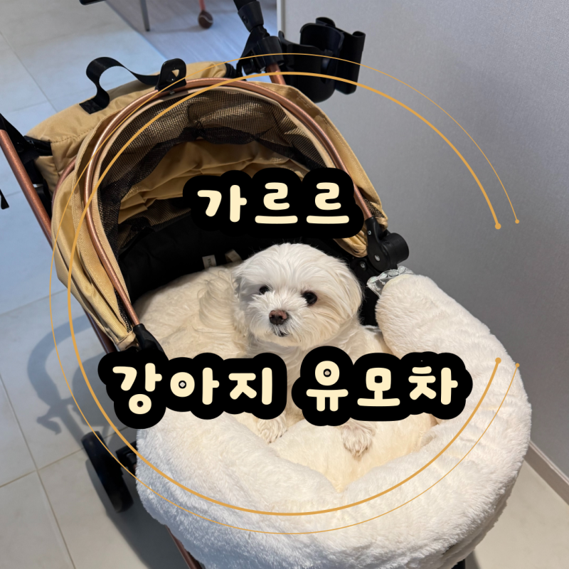 가르르 강아지 유모차 개모차 추천 가성비 개모차 소형견 개모차 가벼운 강아지 유모차