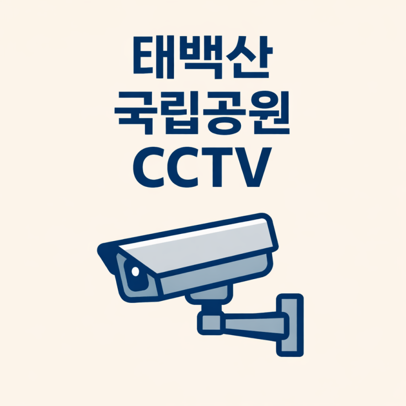 태백산 국립공원 CCTV 어디서 보지? 출발 전 딱 이 3가지만