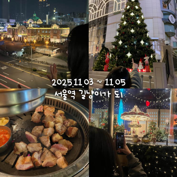  11월일상 2 :: 서울역 길냥이 체험 후기 (문화역서울, 롯백, 청계천, 동대문)