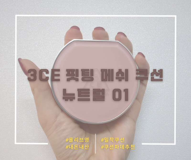 3CE(쓰리씨이) 핏팅 메쉬 쿠션 뉴트럴 01 후기