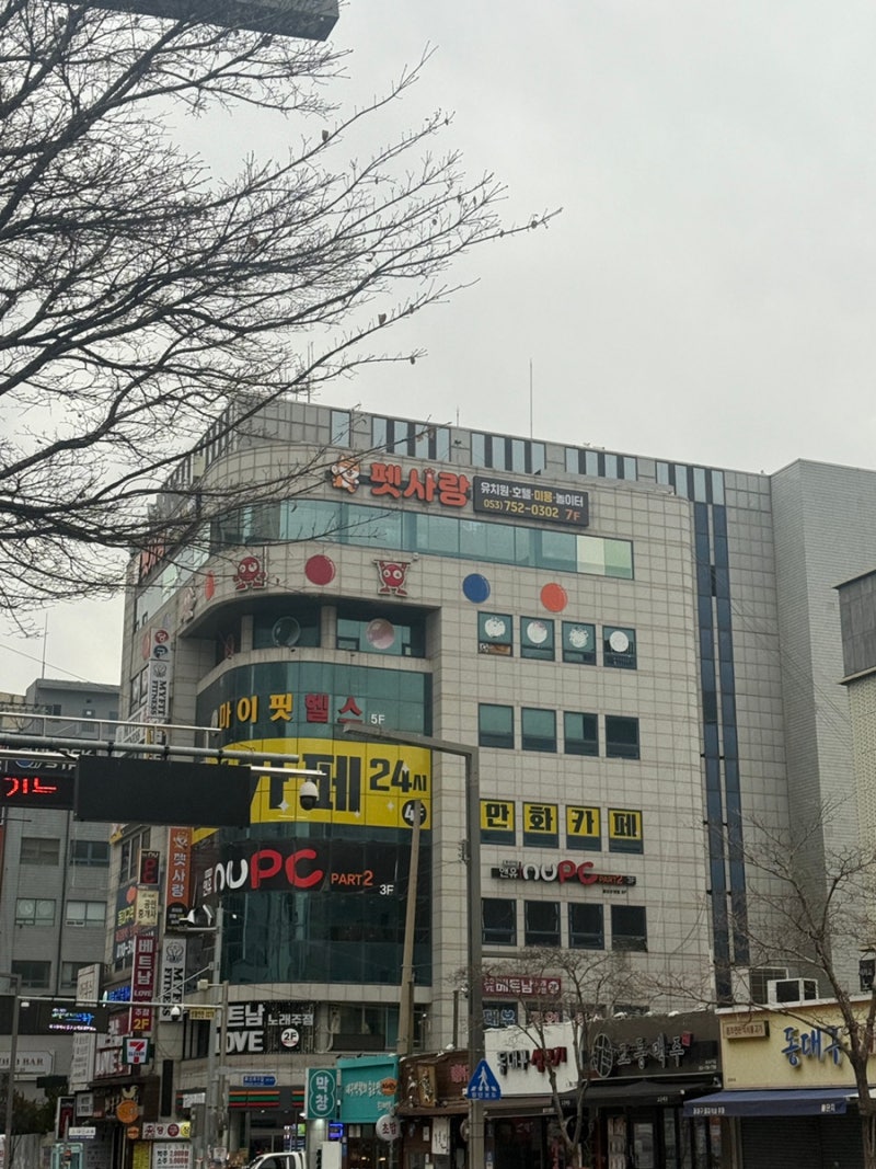 펫사랑애견유치원호텔