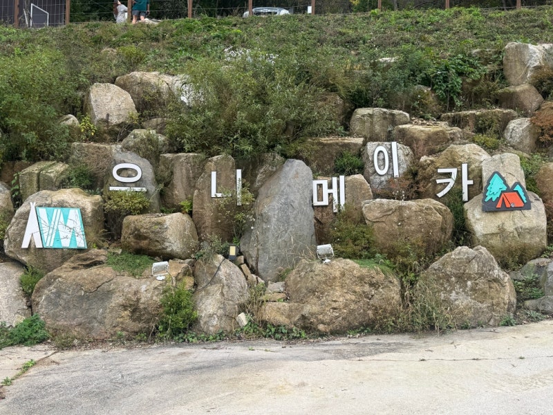 사진 9