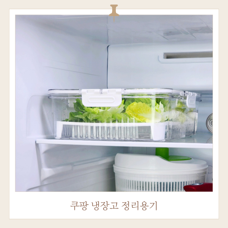  샐러드보관용기 쿠팡 냉장고 정리용기 사용 후기