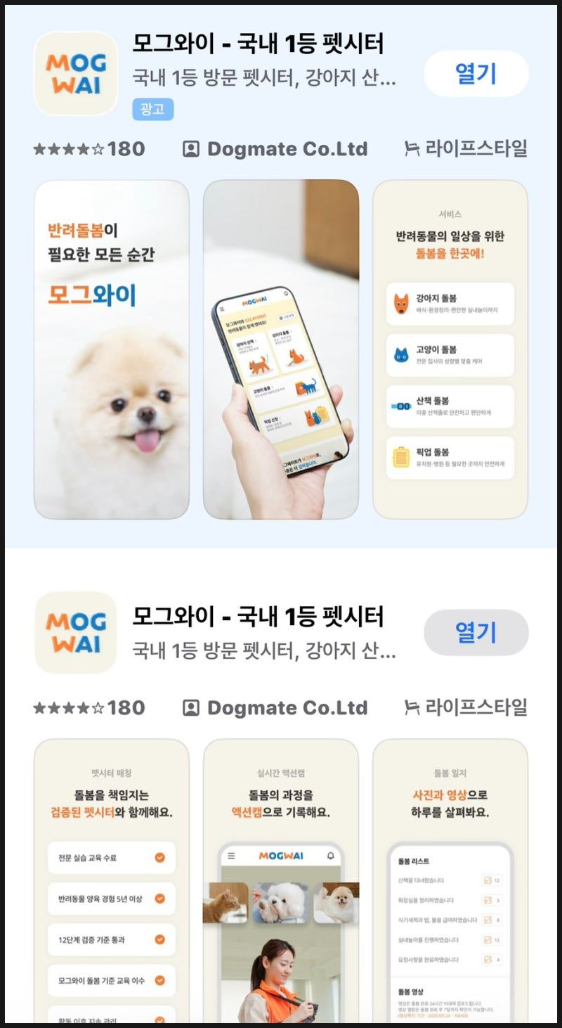 사진 5