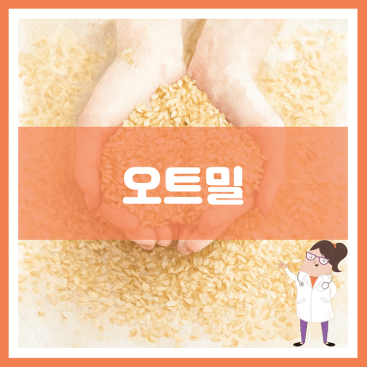  오트밀 효능 영양성분 부작용