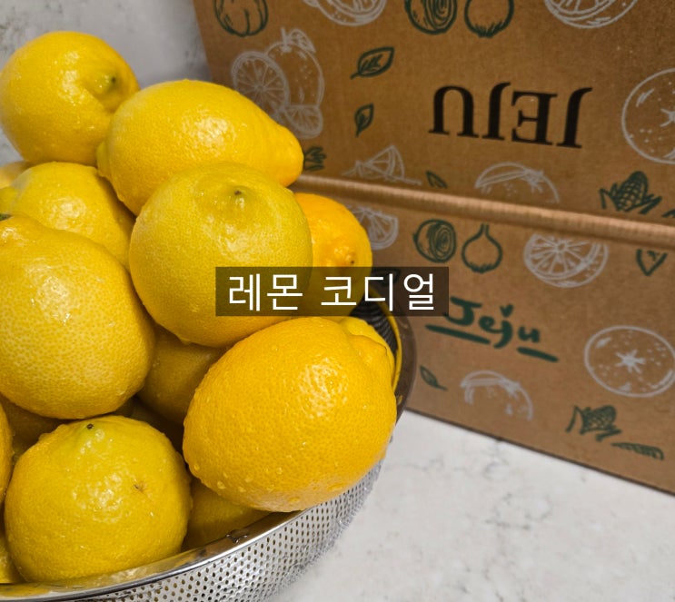  상큼한 수제 레몬시럽 만들기 코디얼 및 레몬제스트 활용