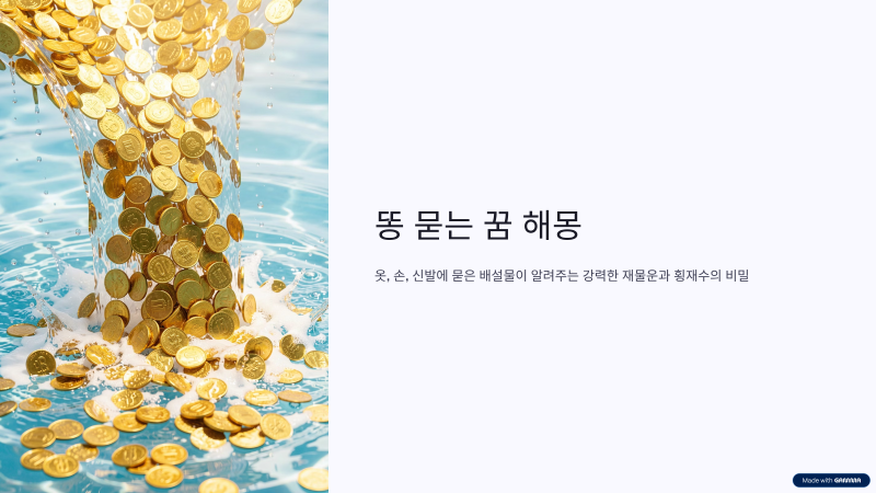 똥 묻는 꿈 옷에 묻은 손에 묻은 신발에 해몽 횡재수 번호
