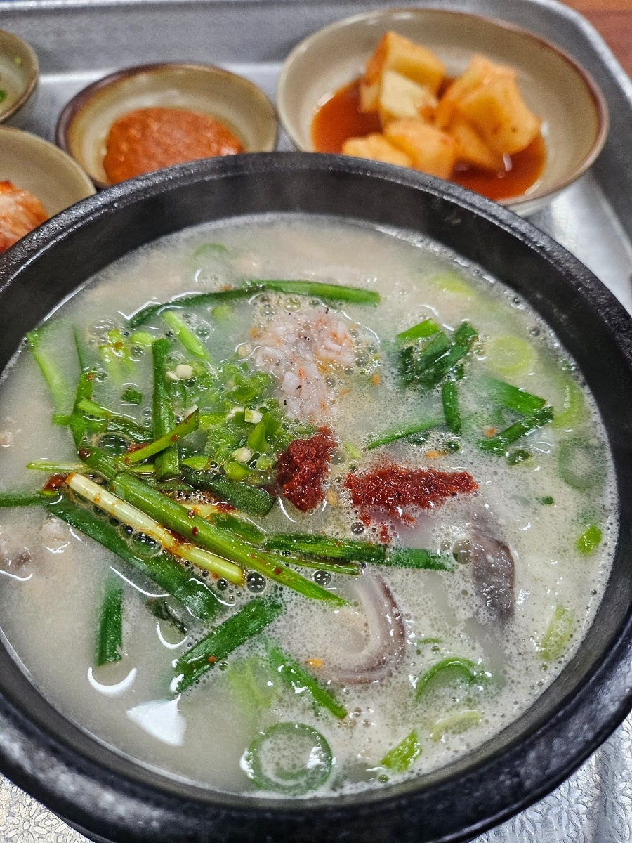 본동장터 돼지국밥 사진 6