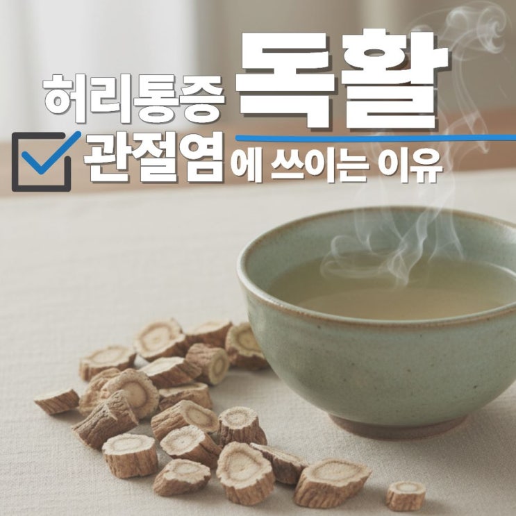  독활뿌리효능 부작용 땅두릅뿌리