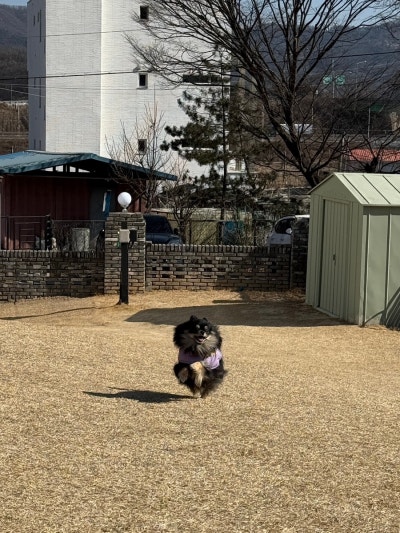사진 6