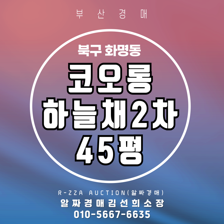  화명동 코오롱하늘채2차 45평 선도지구 프리미엄을 '경매가'로!