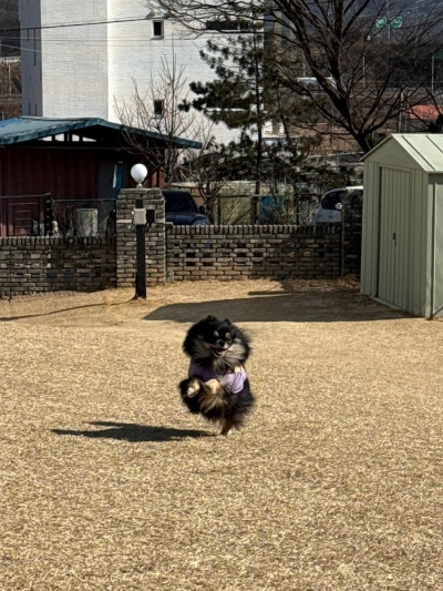 사진 5