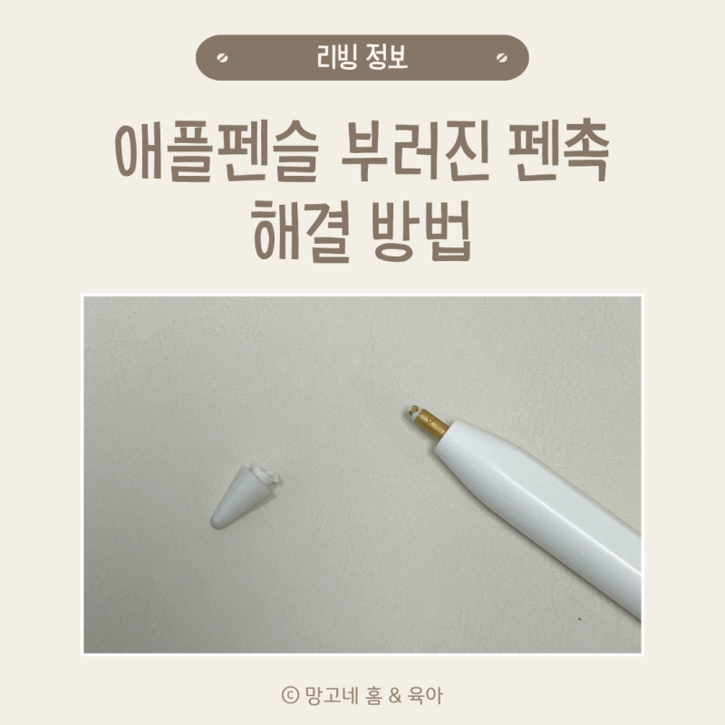 애플펜슬 펜촉 부러졌을 때 해결 방법 (옷핀 사용법)