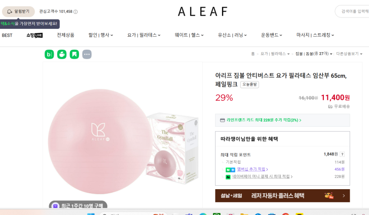  [생활비절약] 임산부 가성비 짐볼 추천