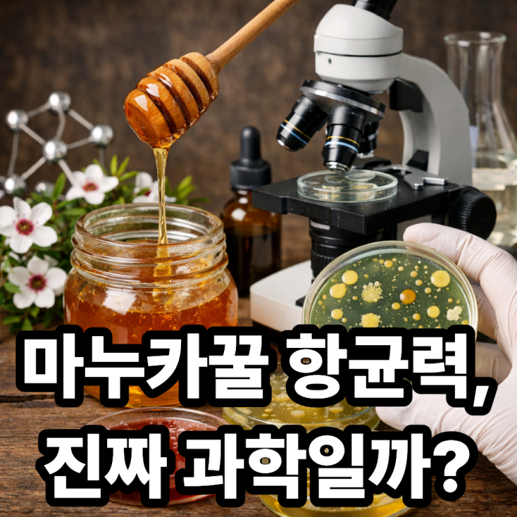  마누카꿀 항균력, 과학적으로 검증됐을까? 