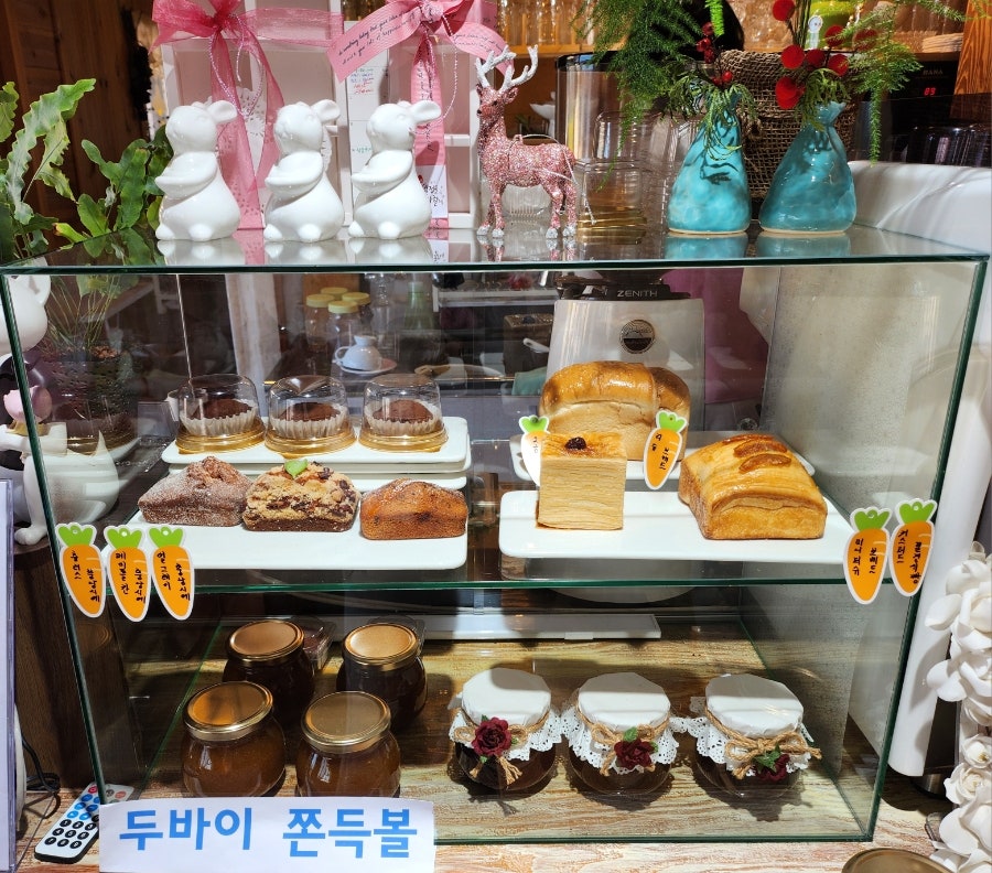 달팽이 사진 6