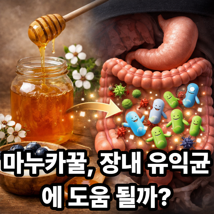 마누카꿀과 장내 유익균의 관계, 정말 도움이 될까?