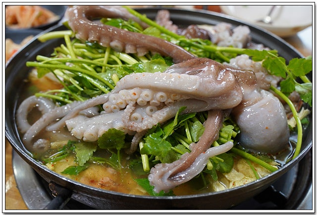 홍대박산낙지 사진 5