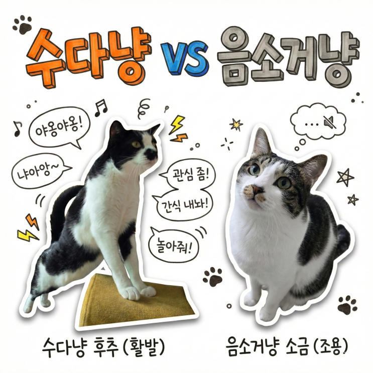  수다냥 VS 음소거냥 우리집 고양이는?