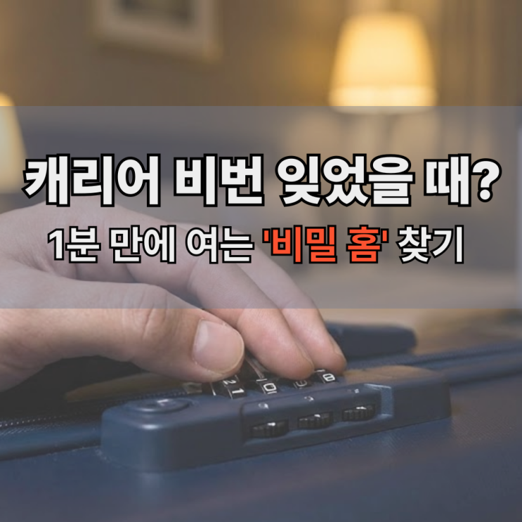  캐리어 비밀번호 분실했을 때 무작정 돌리면 위험해요, “수리비 5만원” 나왔어요