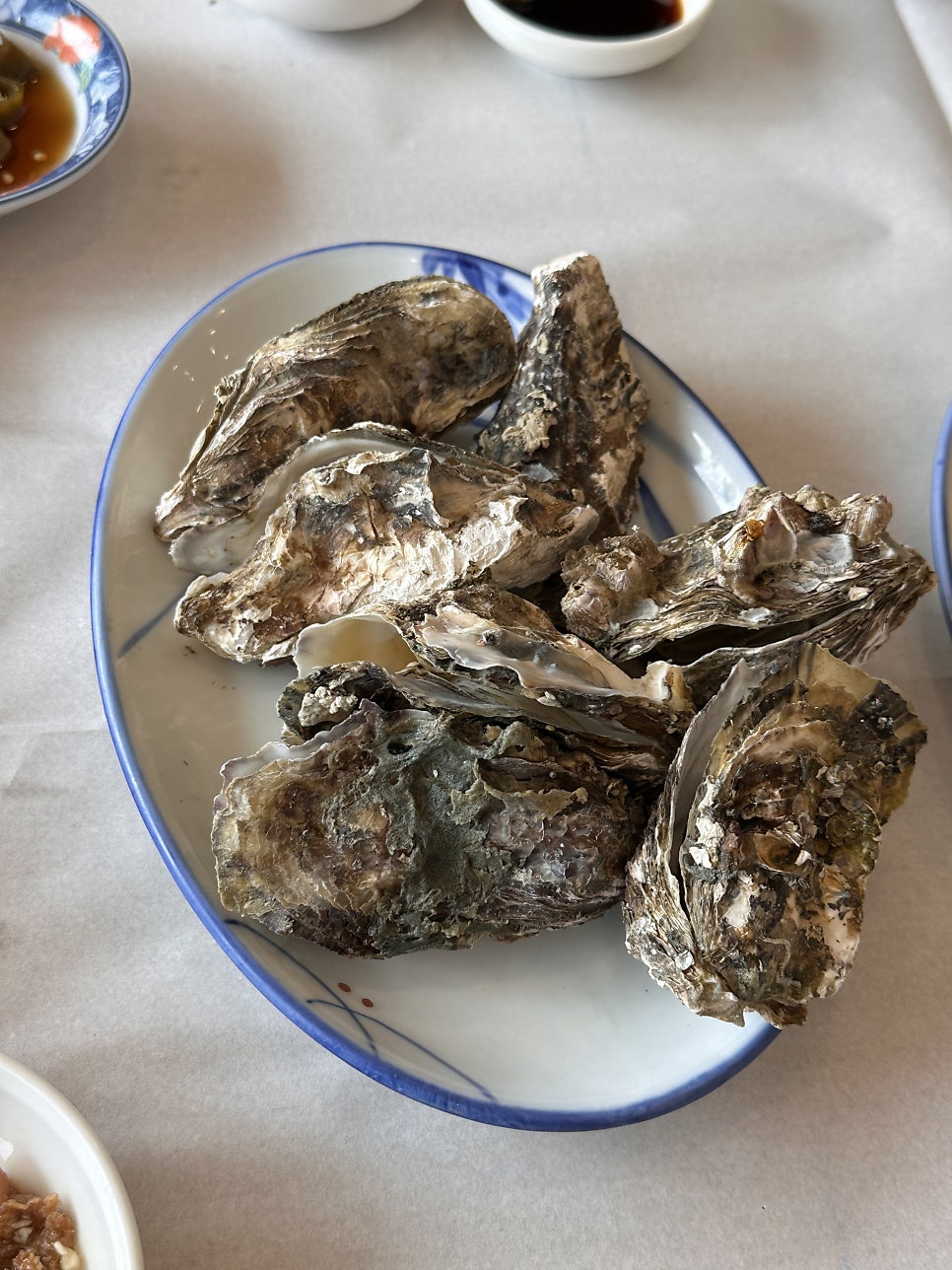 돌고래횟집 사진 6