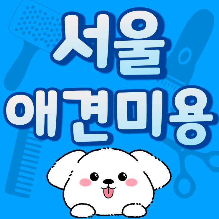  서울애견미용학원 소자본창업을 고민한다면