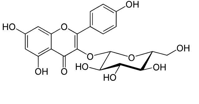   해당화의 기능성분 이야기 5편 – Astragalin