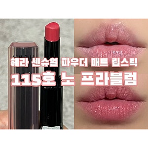 내돈내산) 쿨톤 • 웜톤 공용 립 추천 | 헤라 센슈얼 파우더 매트립스틱 115호 노 프라블럼 찐 ....
