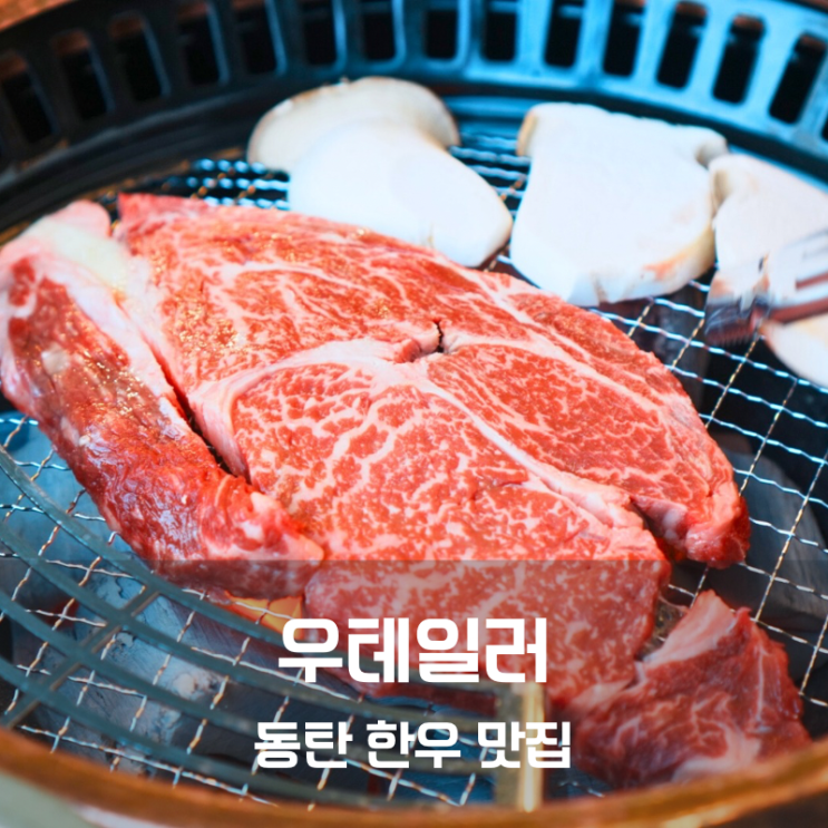  동탄 고기집 소고기 한우 등심 구이 맛집 우테일러