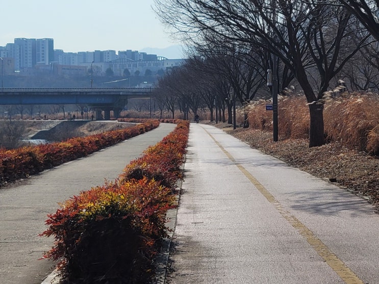  설날 선물 언제 준비? 시기와 주의할 점