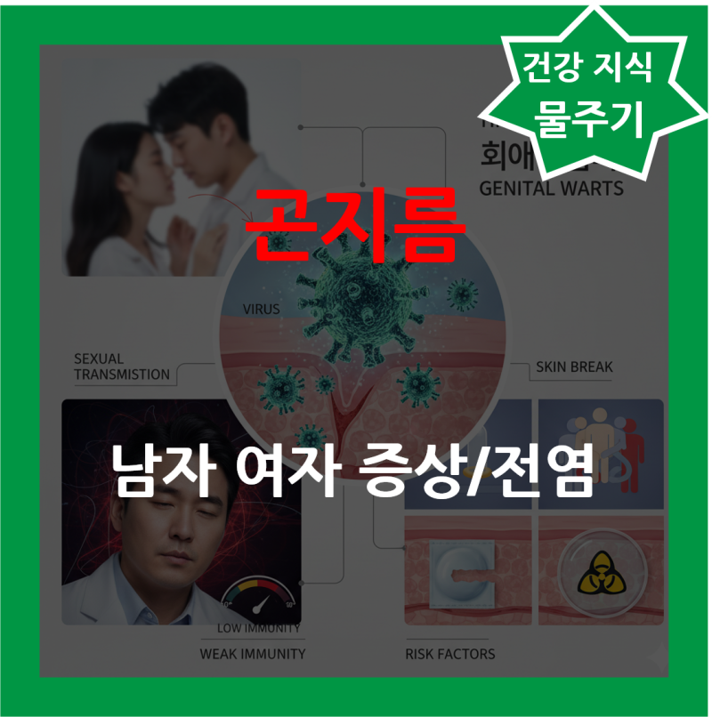 남자 여자 외음부 곤지름 증상 원인 항문 질 곤지름 전염