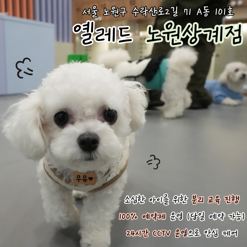 사진 3