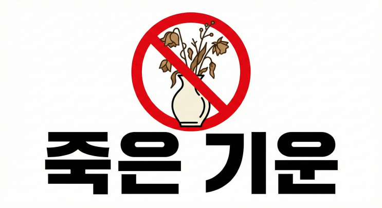  집에 '이것' 있다면 당장 버리세요! 재물운 막는 물건 3가지 (죽은 식물, 깨진 거울)