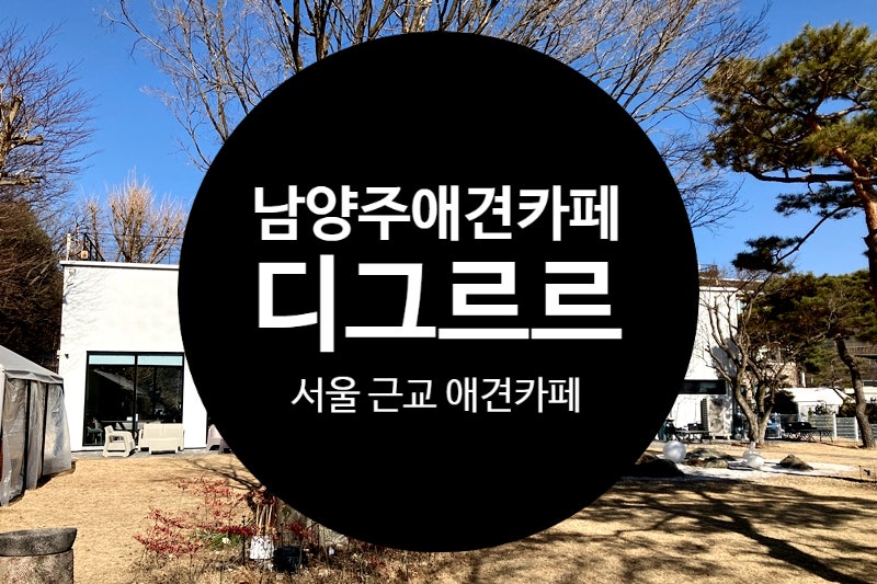 사진 9