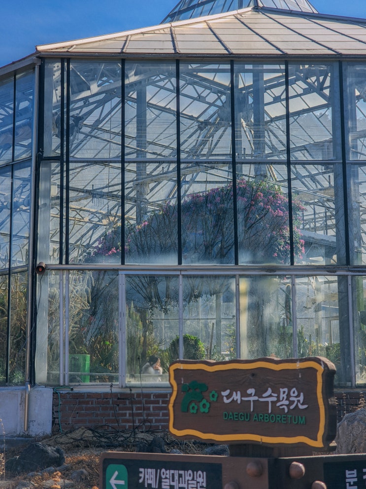  대구 아기랑 가볼만한곳, 대구수목원(주차장, 소요시간)