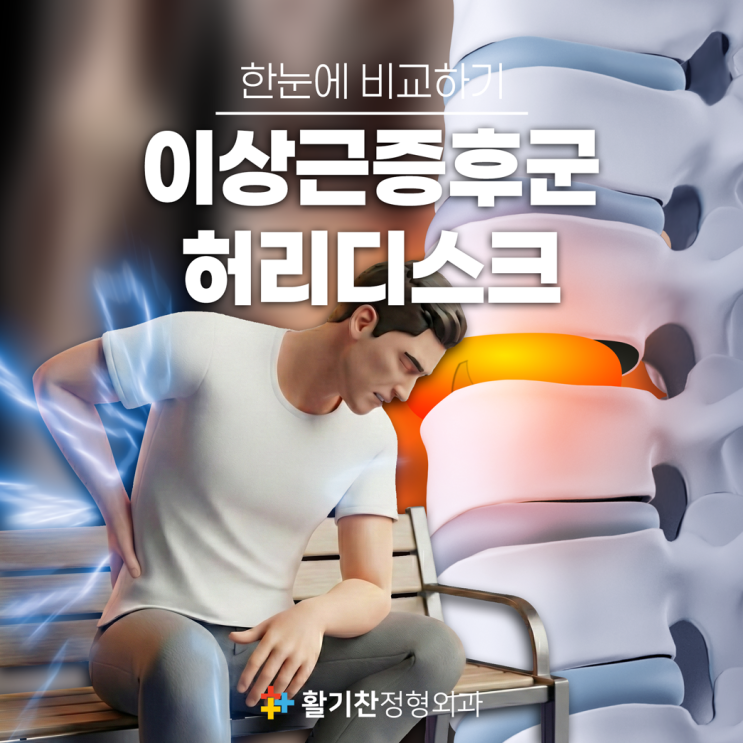  이상근증후군 vs 허리디스크, 한눈에 비교하기