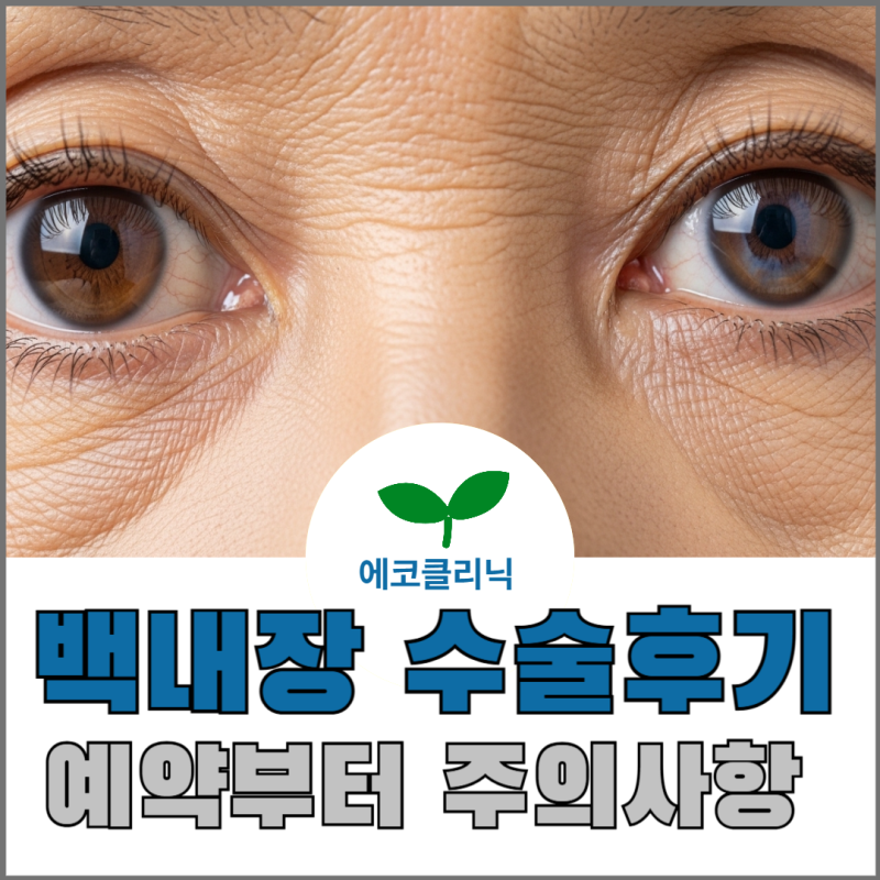 노인 백내장 수술 후 주의 사항 안산시 안과 오른쪽 눈 수술
